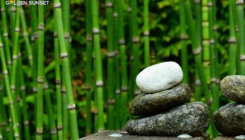 kamienie - bambusy - joga - spokojna muzyka - 3 Godziny Relaksującej Muzyki