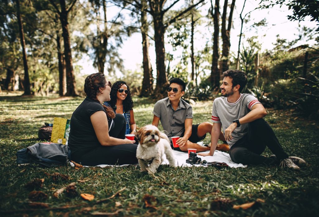 spotkanie przyjacielskie - piknik w praku - kontakt z innymi ludźmi