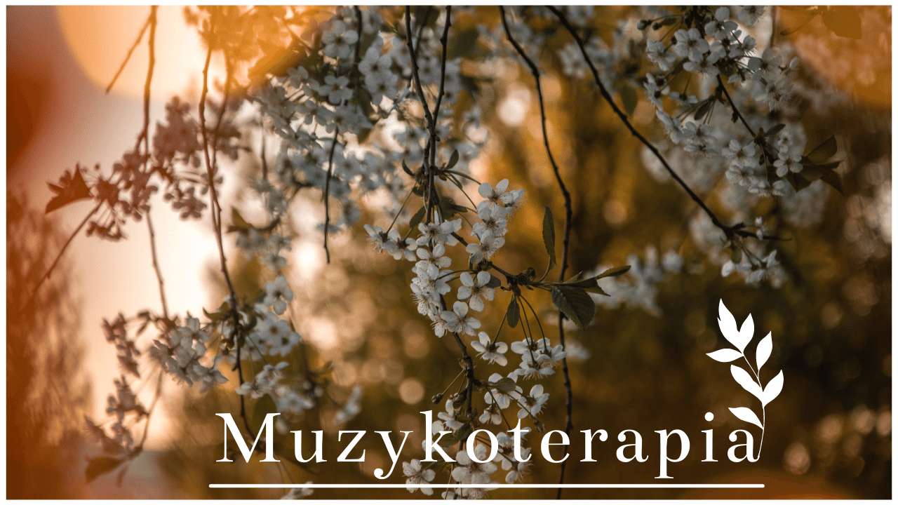 kwiaty kwitnącego drzewa