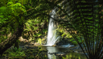 wodospad w zielonym lesie, muzyka natury