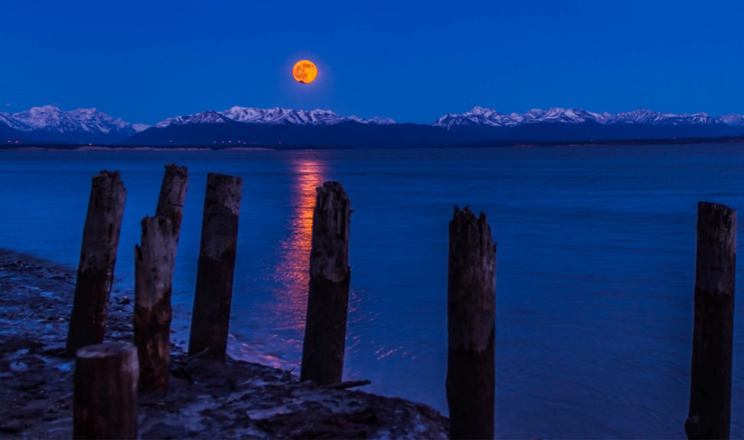 sea and the moon by night