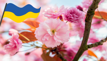 wiosenne kwiaty - wiosenne drzewo - flaga ukrainy