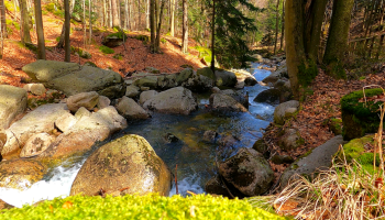 potok w lesie, skały czyli obraz natury