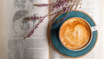 otwarta książka. filiżanka kawy na talerzyku i różowy kwiat
