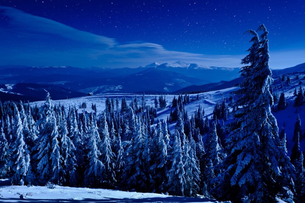 ośnieżony las w nocy, zachmurzone niebo, w tle widać góry