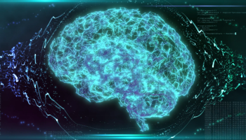 Obraz przedstawiający mózg i jego pracę