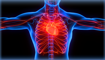 płuca i serce człowieka rentgen