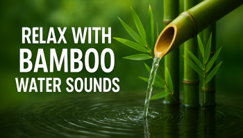Relax with Bamboo Water Sounds